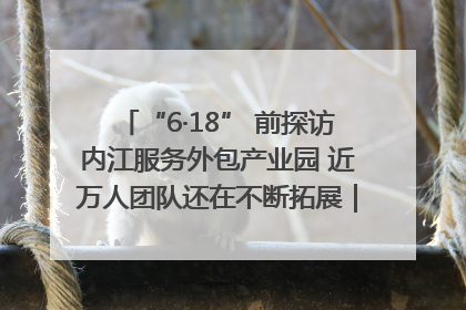 “6·18” 前探访内江服务外包产业园 近万人团队还在不断拓展｜内江东兴“红”在哪⑤