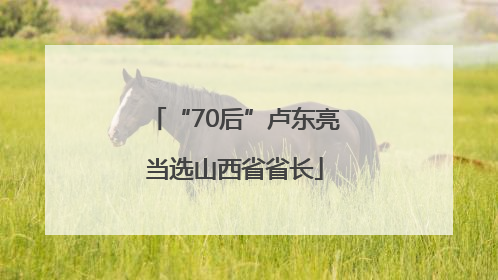“70后”卢东亮当选山西省省长