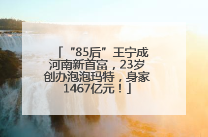 “85后”王宁成河南新首富，23岁创办泡泡玛特，身家1467亿元！