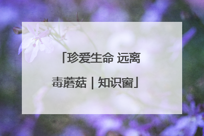 珍爱生命 远离毒蘑菇｜知识窗