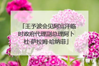 王予波会见阿富汗临时政府代理副总理阿卜杜·萨拉姆·哈纳菲