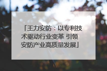 王力安防：以专利技术驱动行业变革 引领安防产业高质量发展