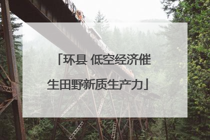 环县 低空经济催生田野新质生产力