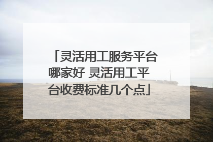 灵活用工服务平台哪家好 灵活用工平台收费标准几个点