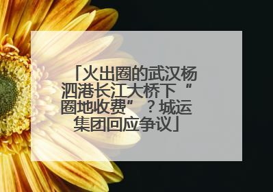 火出圈的武汉杨泗港长江大桥下“圈地收费”？城运集团回应争议
