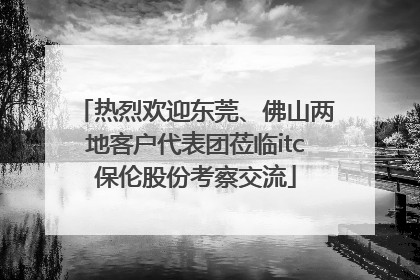 热烈欢迎东莞、佛山两地客户代表团莅临itc保伦股份考察交流