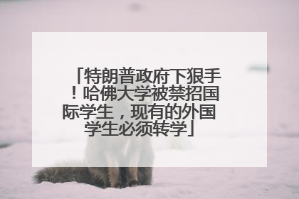 特朗普政府下狠手！哈佛大学被禁招国际学生，现有的外国学生必须转学