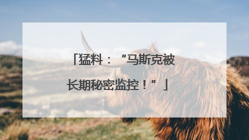 猛料：“马斯克被长期秘密监控！”