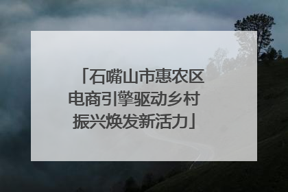 石嘴山市惠农区电商引擎驱动乡村振兴焕发新活力