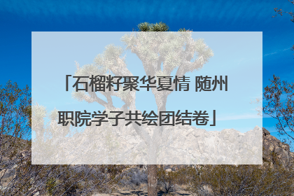 石榴籽聚华夏情 随州职院学子共绘团结卷