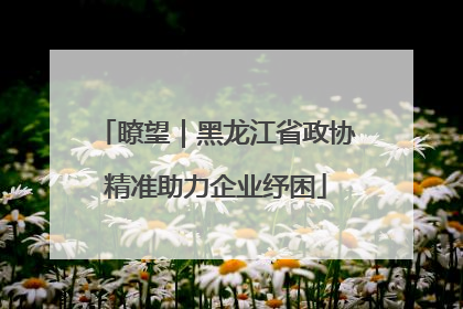 瞭望｜黑龙江省政协精准助力企业纾困