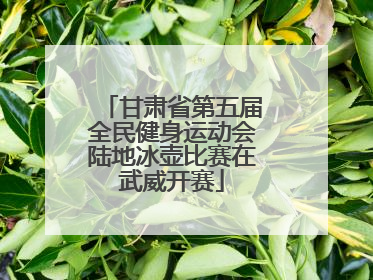 甘肃省第五届全民健身运动会陆地冰壶比赛在武威开赛