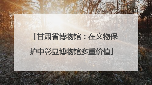 甘肃省博物馆：在文物保护中彰显博物馆多重价值