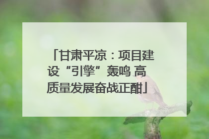 甘肃平凉：项目建设“引擎”轰鸣 高质量发展奋战正酣