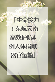 生命接力！东航云南高效护航4例人体捐献器官运输