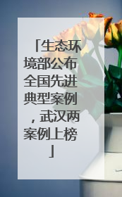 生态环境部公布全国先进典型案例，武汉两案例上榜