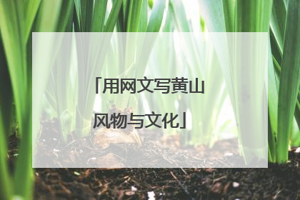 用网文写黄山风物与文化