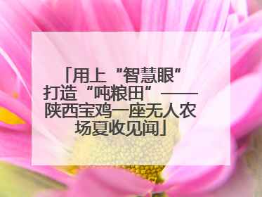 用上“智慧眼” 打造“吨粮田”——陕西宝鸡一座无人农场夏收见闻