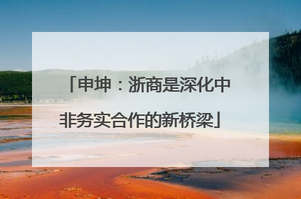 申坤：浙商是深化中非务实合作的新桥梁