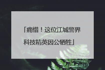 痛惜！这位江城警界科技精英因公牺牲