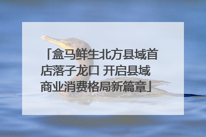 盒马鲜生北方县域首店落子龙口 开启县域商业消费格局新篇章