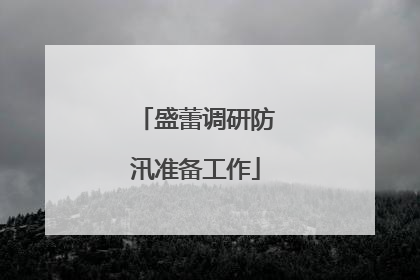 盛蕾调研防汛准备工作