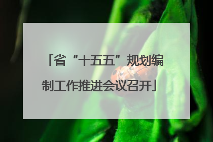 省“十五五”规划编制工作推进会议召开