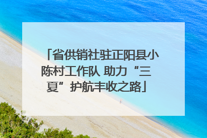 省供销社驻正阳县小陈村工作队 助力“三夏”护航丰收之路