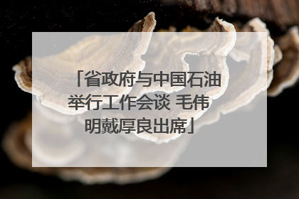 省政府与中国石油举行工作会谈 毛伟明戴厚良出席