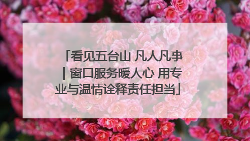 看见五台山 凡人凡事｜窗口服务暖人心 用专业与温情诠释责任担当