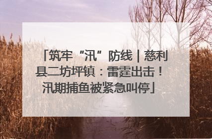 筑牢“汛”防线｜慈利县二坊坪镇：雷霆出击！汛期捕鱼被紧急叫停