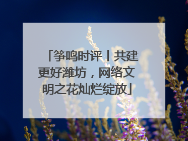 筝鸣时评丨共建更好潍坊，网络文明之花灿烂绽放