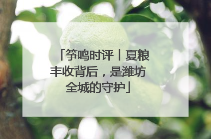 筝鸣时评丨夏粮丰收背后，是潍坊全城的守护