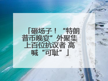 砸场子！“特朗普币晚宴”外聚集上百位抗议者 高喊“可耻”