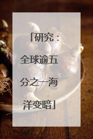 研究：全球逾五分之一海洋变暗
