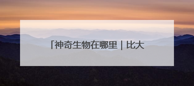 神奇生物在哪里｜比大熊猫更稀少！湖南新宁成功救护濒危鸟类海南鳽