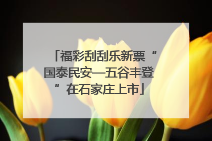 福彩刮刮乐新票“国泰民安—五谷丰登”在石家庄上市