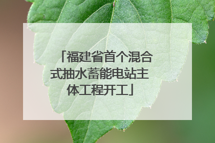 福建省首个混合式抽水蓄能电站主体工程开工