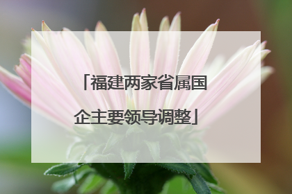 福建两家省属国企主要领导调整