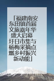 福建南安东田镇首届文旅嘉年华盛大启幕 圩日市集与杨梅采摘点燃乡村振兴新动能