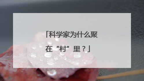 科学家为什么聚在“村”里？