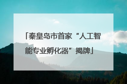 秦皇岛市首家“人工智能专业孵化器”揭牌