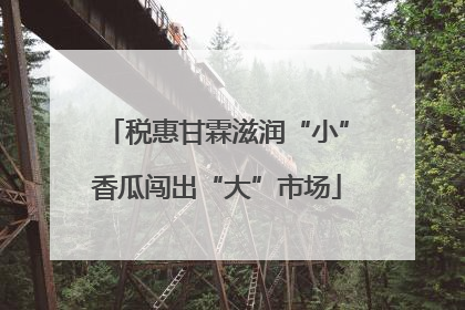 税惠甘霖滋润“小”香瓜闯出“大”市场