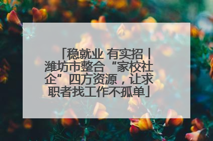 稳就业 有实招丨潍坊市整合“家校社企”四方资源，让求职者找工作不孤单