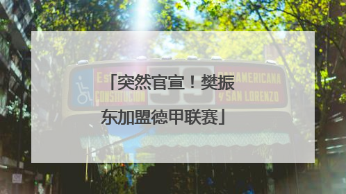 突然官宣！樊振东加盟德甲联赛