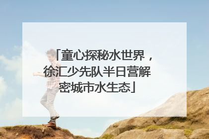 童心探秘水世界，徐汇少先队半日营解密城市水生态