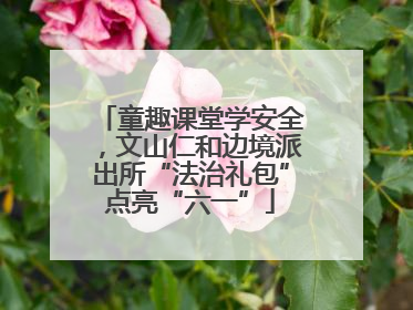 童趣课堂学安全，文山仁和边境派出所“法治礼包”点亮“六一”