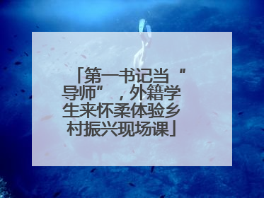 第一书记当“导师”，外籍学生来怀柔体验乡村振兴现场课