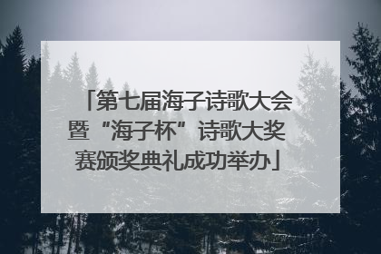 第七届海子诗歌大会暨“海子杯”诗歌大奖赛颁奖典礼成功举办