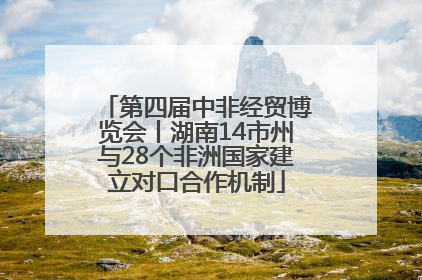 第四届中非经贸博览会丨湖南14市州与28个非洲国家建立对口合作机制